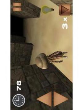 Maze: Escape Old Fortress游戲截圖5