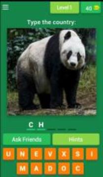 Animal Countries Quiz游戲截圖1