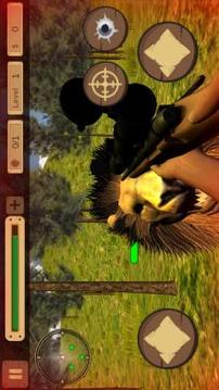 Lion Hunting in Jungle - Animal Hunter游戲截圖5