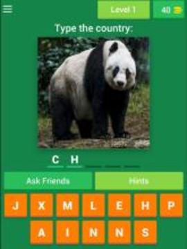 Animal Countries Quiz游戲截圖5