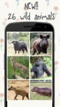 Sound Animals for Kids for Fun游戲截圖2