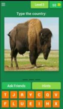 Animal Countries Quiz游戲截圖4