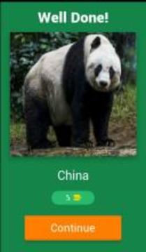 Animal Countries Quiz游戲截圖2