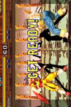 Pro Bloody roar 4 Hint New游戲截圖3