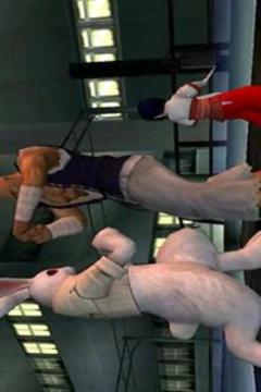 Pro Bloody roar 4 Hint New游戲截圖1