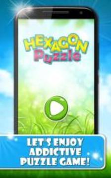 Hexagon: Block Puzzle Games游戲截圖1