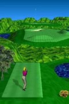 三洞高尔夫游戏截图2