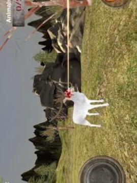 Deer Hunting 2017 : Sniper hunt game游戲截圖3