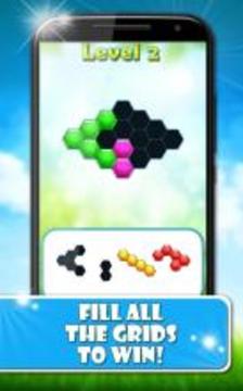 Hexagon: Block Puzzle Games游戲截圖3