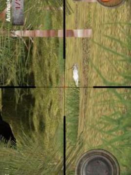 Deer Hunting 2017 : Sniper hunt game游戲截圖2