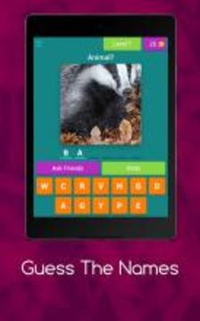 Guess The Names游戲截圖4
