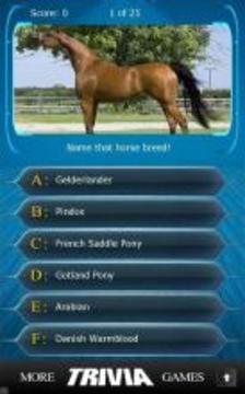 Name that Horse Breed Trivia游戲截圖1