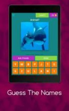 Guess The Names游戲截圖2