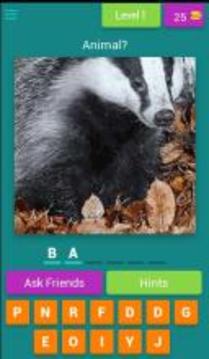 Guess The Names游戲截圖1