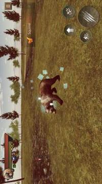 Angry Bear Simulator 3D - Be a Bear Game游戲截圖2