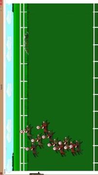 Horse Race Live游戲截圖3