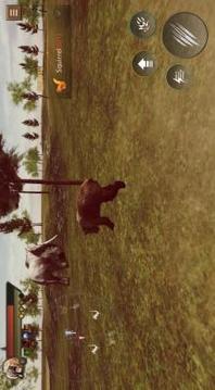 Angry Bear Simulator 3D - Be a Bear Game游戲截圖1