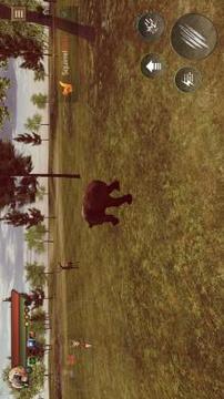 Angry Bear Simulator 3D - Be a Bear Game游戲截圖4