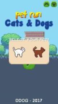Pet Run: Cats & Dogs游戲截圖1