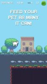 Pet Run: Cats & Dogs游戲截圖5