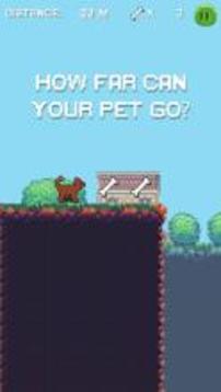 Pet Run: Cats & Dogs游戲截圖3