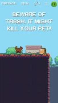 Pet Run: Cats & Dogs游戲截圖4