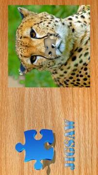 Jigsaw Puzzle - jigsaw collection photos free游戲截圖3