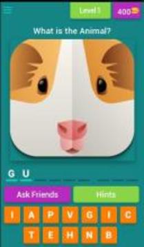 Quiz for Animal Crossing游戲截圖1