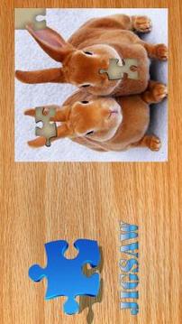 Jigsaw Puzzle - jigsaw collection photos free游戲截圖5
