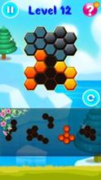 Hexa Puzzle Block Pro游戲截圖2