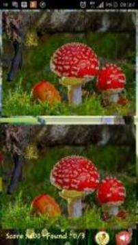 Smart Differences游戲截圖3