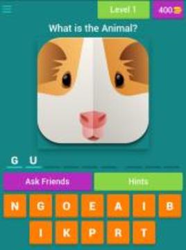 Quiz for Animal Crossing游戲截圖4