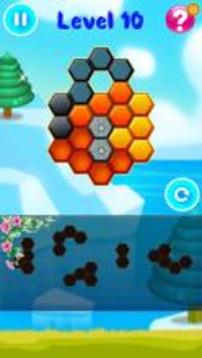 Hexa Puzzle Block Pro游戲截圖4