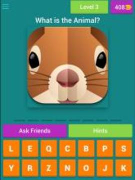 Quiz for Animal Crossing游戲截圖5