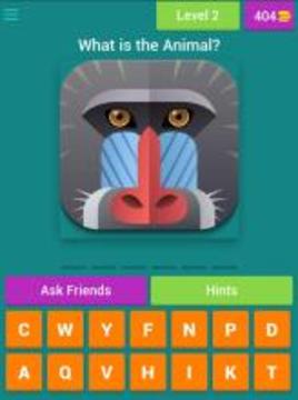 Quiz for Animal Crossing游戲截圖2