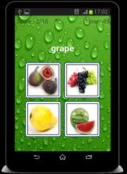 Fruits Name Quiz !游戲截圖2