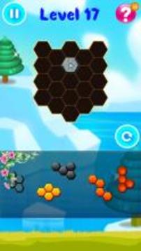 Hexa Puzzle Block Pro游戲截圖3