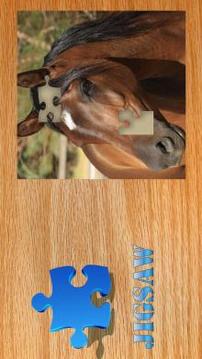 Jigsaw Puzzle - jigsaw collection photos free游戲截圖2
