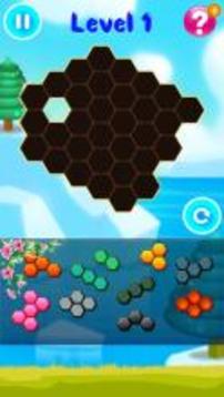 Hexa Puzzle Block Pro游戲截圖5