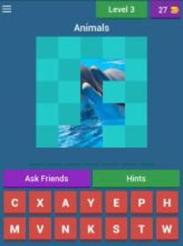 Guess the Picture (Tiles)游戏截图2