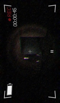 保護(hù)：微光游戲截圖4