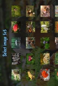 Tile Puzzles · Mushrooms游戲截圖4