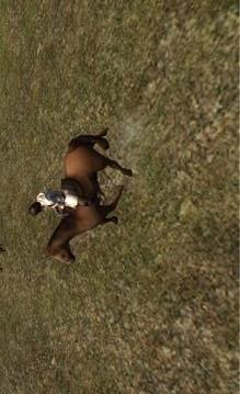 Real Hunter Simulator 2游戲截圖2