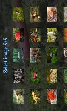 Tile Puzzles · Mushrooms游戲截圖1