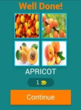 Name The Fruit - Kids Funny Game游戲截圖5