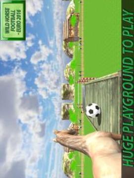 Wild Horse Football Simulator游戲截圖5