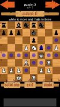 Chess Puzzles游戲截圖3