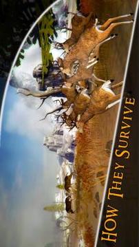 Deer Hunter Safari – African Wild Hunt游戲截圖4