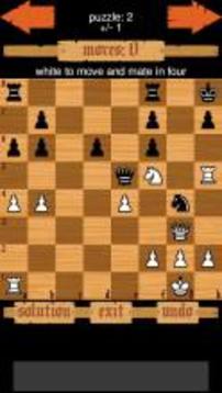 Chess Puzzles游戲截圖1