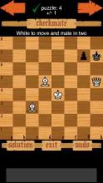 Chess Puzzles游戲截圖4